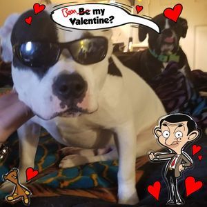 Meet your Posher, Nanci